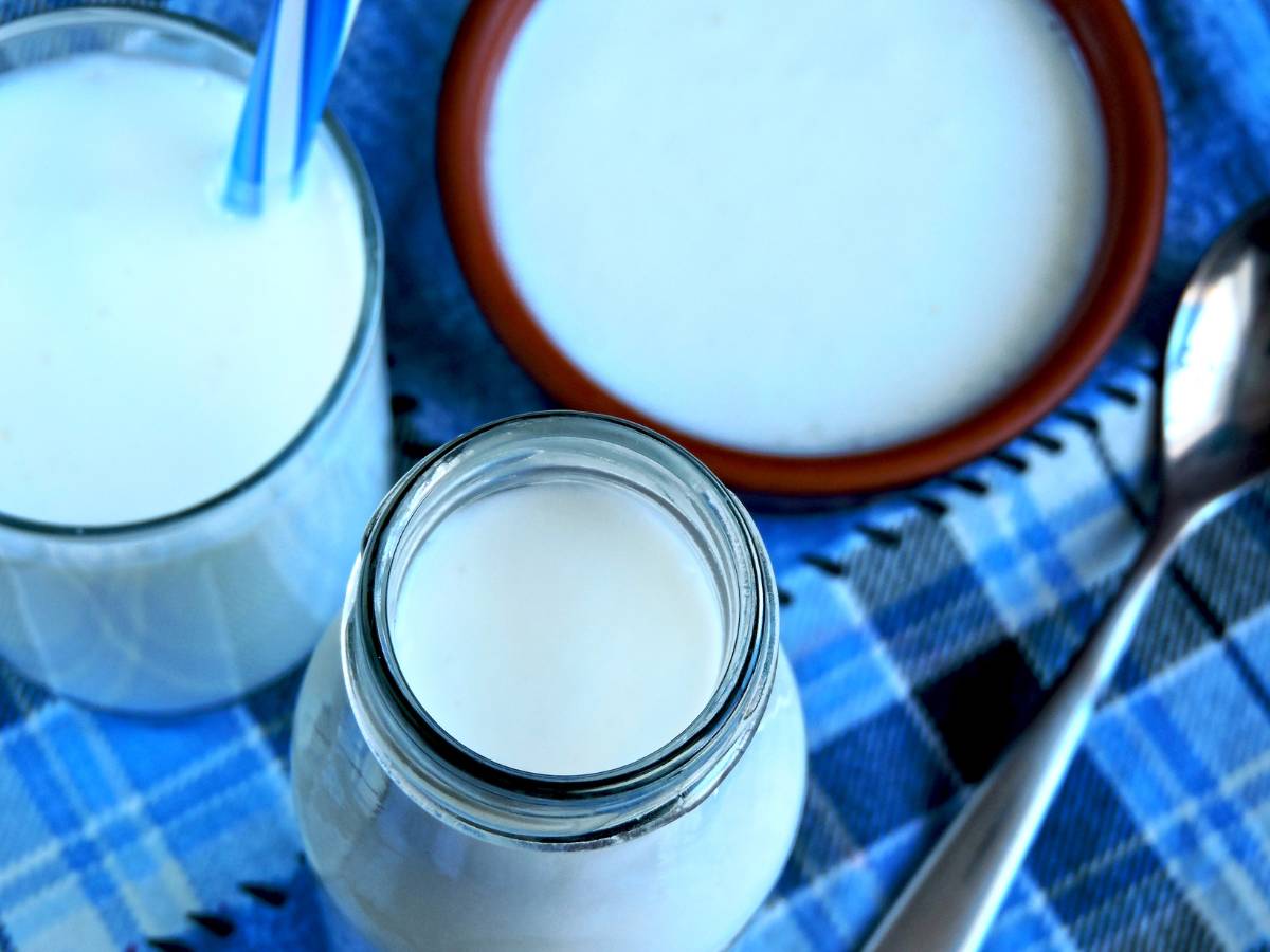 Czy kefir jest dobry na jelita i dlaczego? Odkryj moc kefiru na dolegliwości jelitowe 1 Kefir w naczyniach. Obrazek w artykule Czy kefir jest dobry na jelita i dlaczego? Odkryj moc kefiru na dolegliwości jelitowe