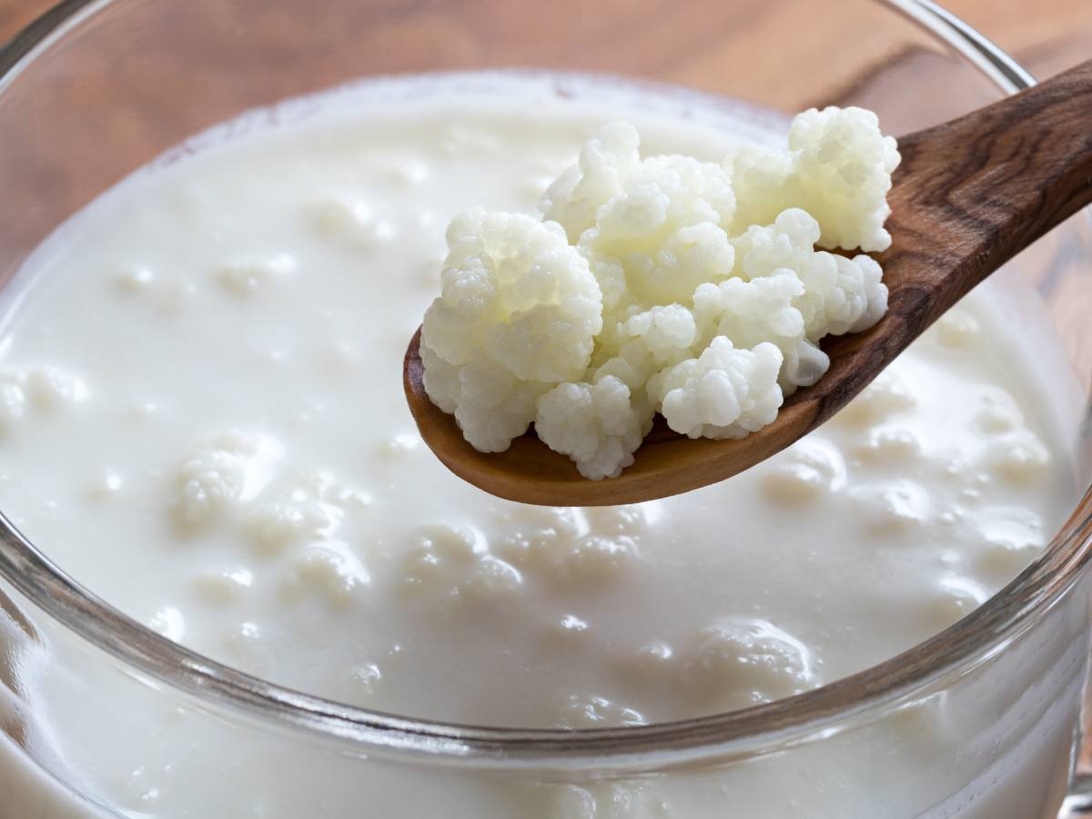 Czy kefir jest skuteczny na refluks i dlaczego? 1 Kefir. Obrazek w artykule Czy kefir jest skuteczny na refluks i dlaczego?