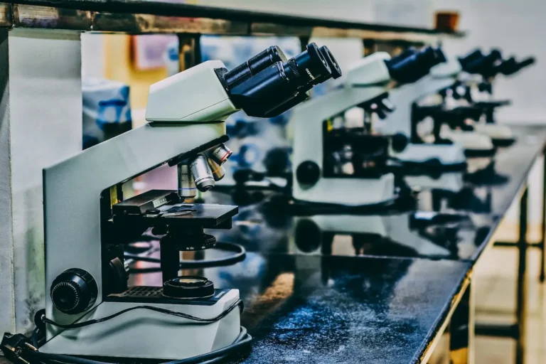 Kiedy są stosowane badania fizykochemiczne żywności? 6 Na zdjęciu znajduje się kilka mikroskopów ustawionych w rzędzie na długim, ciemnym blacie laboratoryjnym. Mikroskopy są w klasycznym stylu, wykonane z metalu i plastiku, z obiektywami skierowanymi w różne strony. W tle widać zamazane elementy laboratorium, co sugeruje, że jest to profesjonalne laboratorium badawcze. Mikroskopy mają charakterystyczne okularowe soczewki oraz obrotowe noski z różnymi obiektywami, co pozwala na dostosowanie powiększenia. Ogólny wygląd zdjęcia wskazuje na środowisko naukowe, prawdopodobnie związane z badaniami fizykochemicznymi.
